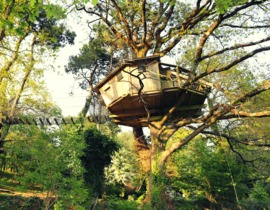 Cabane dans les Arbres avec Spa près de Carnac